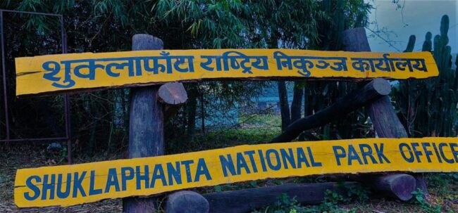 शुक्लाफाँटा निकुञ्जमा च्याउ टिप्न गएका १४ महिला बेपत्ता, खोजी तीव्र