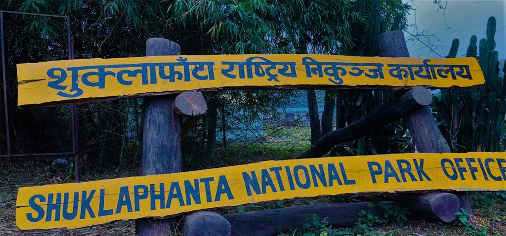 शुक्लाफाँटा निकुञ्जमा च्याउ टिप्न गएका १४ महिला बेपत्ता, खोजी तीव्र
